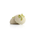 Pistachio almond paste covered in Pistì Shop white chocolate 